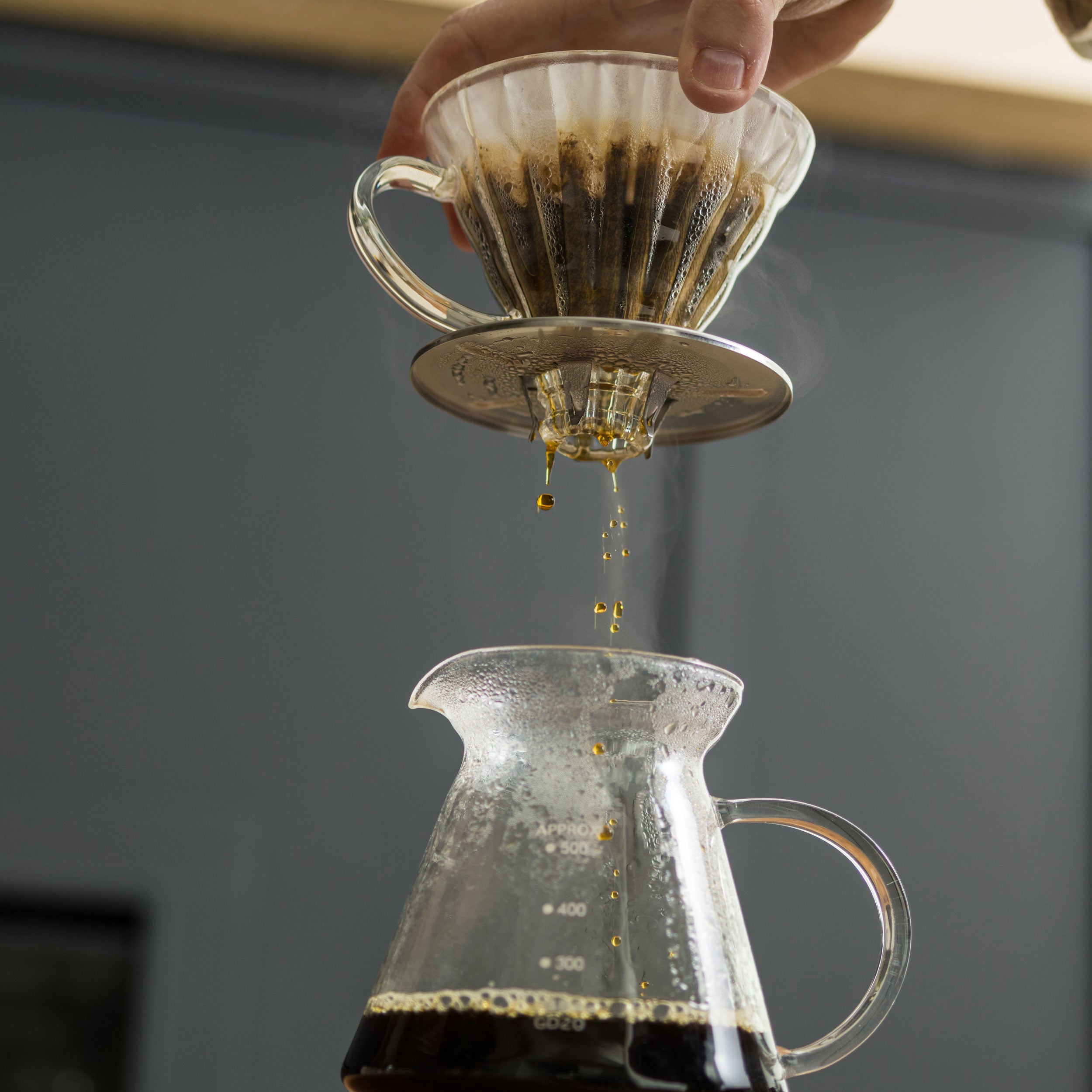 Yama Glass Cone Coffee Dripper - Stainless Steel – TOCA Coffee