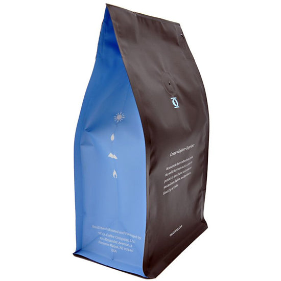 Brazil Copo Fino - sweet mellow chocolate nuts - TOCA Coffee
